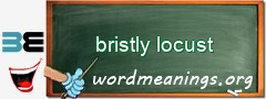 WordMeaning blackboard for bristly locust